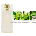 9pm Perfume – Fragrant Perfume