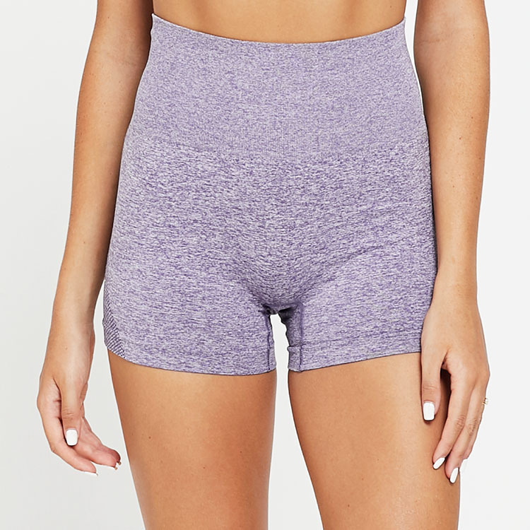 Ladies’ Sculpt High-Waisted Fitness Shorts