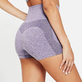 Ladies’ Sculpt High-Waisted Fitness Shorts